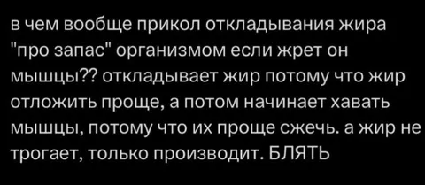 Организм откладывает жир про запас