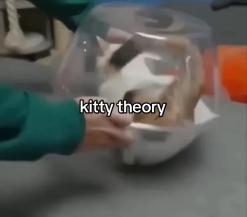 Kitty Theory Bowl Transformation