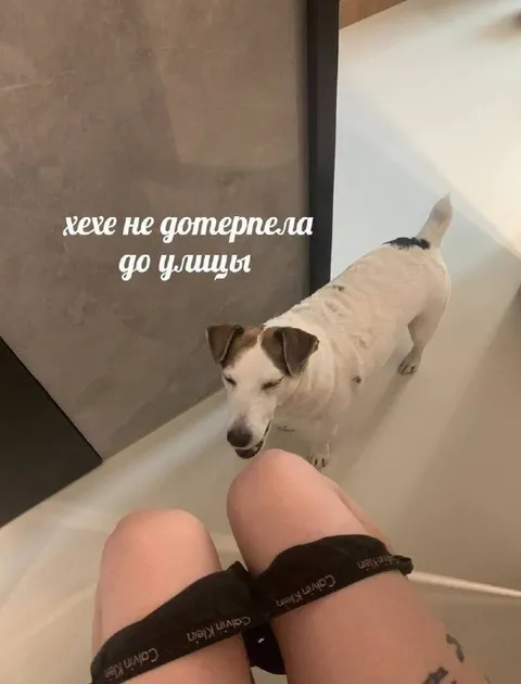 Не дотерпела до улицы