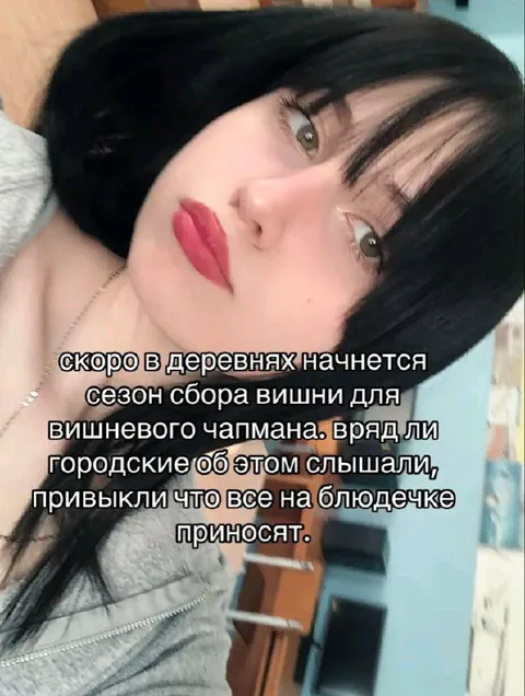 Сезон сбора вишни