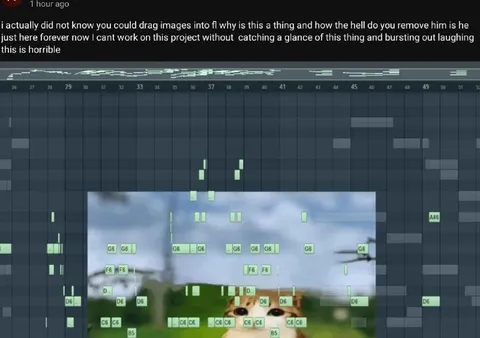 FL Studio Frog Distraction