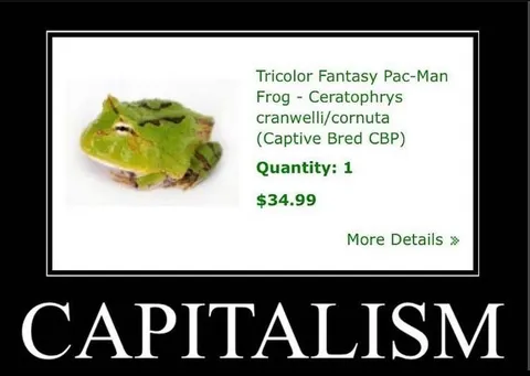 Capitalism Frog Marketplace Meme