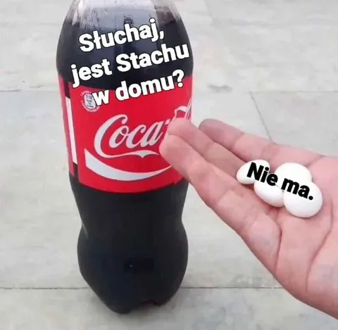 Stachu nie ma w domu