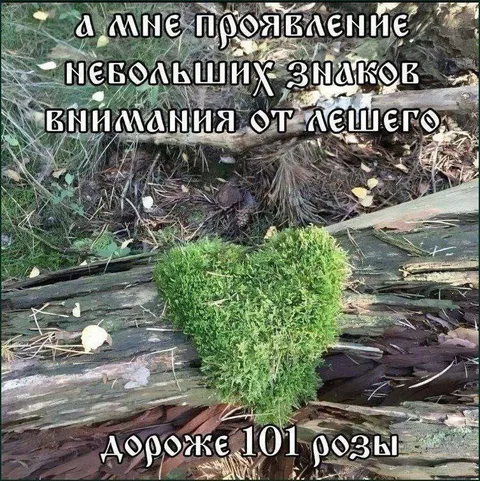 Знаки внимания от лешего