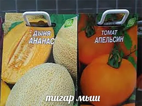 Дыня ананас и томат апельсин