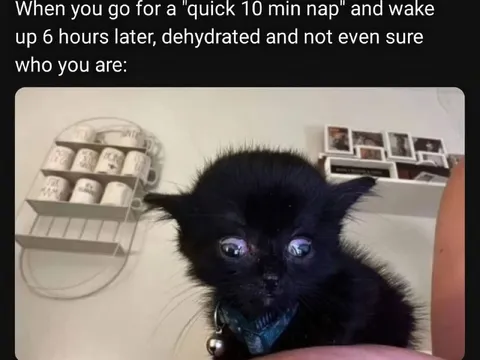 Quick Nap, Six Hours Later