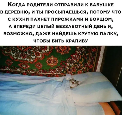 Просыпаешься у бабушки в деревне