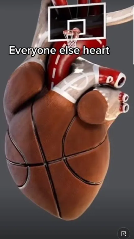Everyone Else Heart Basketball