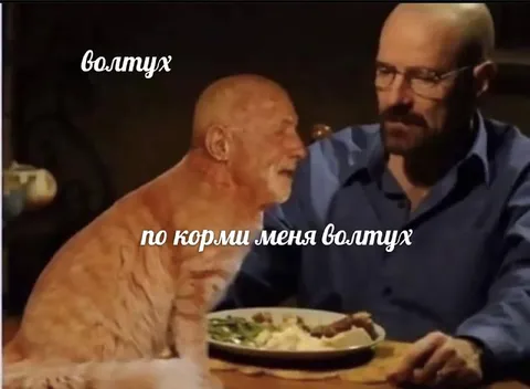 Покорми меня, Волитух