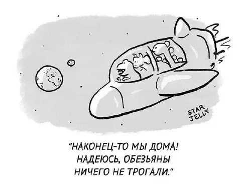 Наконец-то мы дома