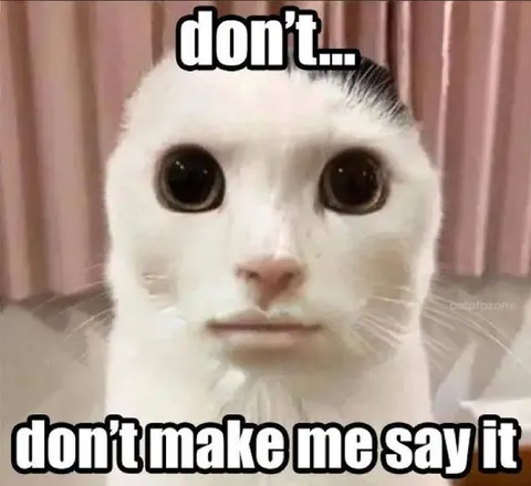 Don't Make Me Say It Cat