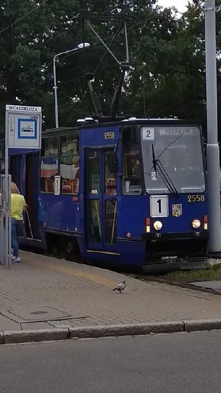 Autobus z opuszczoną wycieraczką