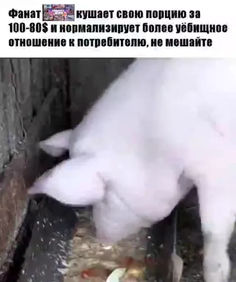Фанат кушает свою порцию
