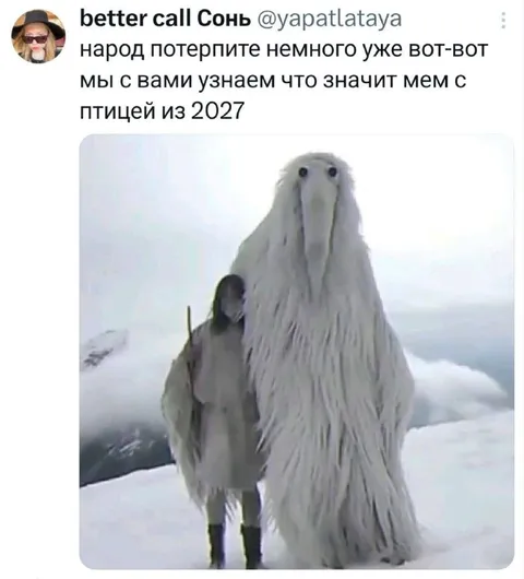 Мем с птицей из 2027