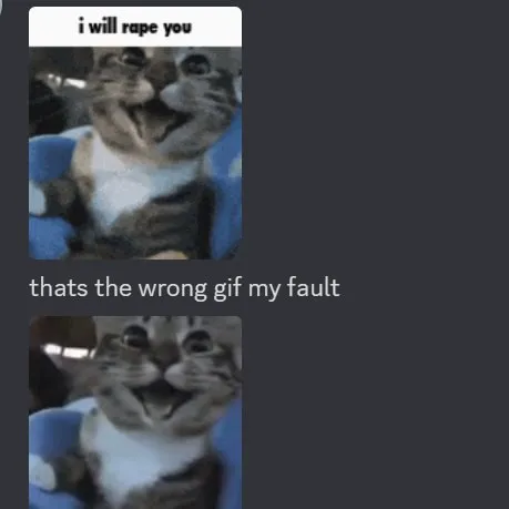 Wrong Gif Cat Reaction
