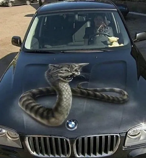Котозмея на BMW