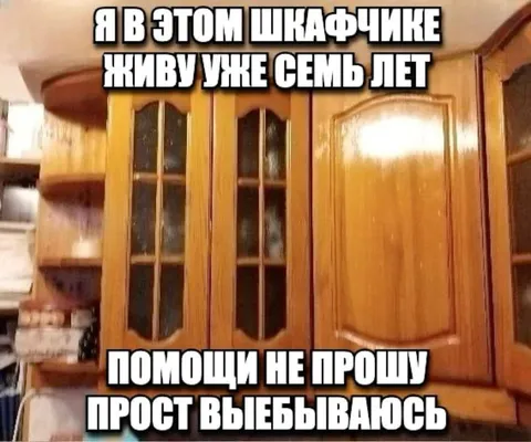 Живу в шкафчике семь лет