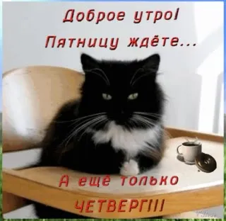 Доброе утро, пятницу ждёте