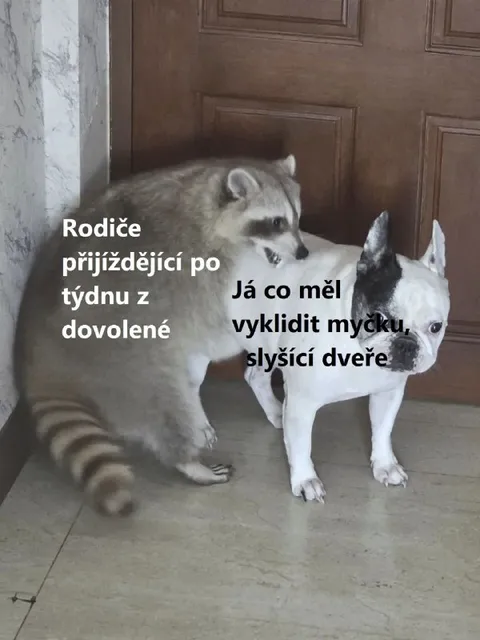 Rodiče se vrací z dovolené
