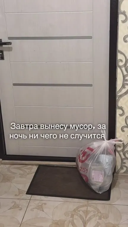 Собака вынесла мусор ночью