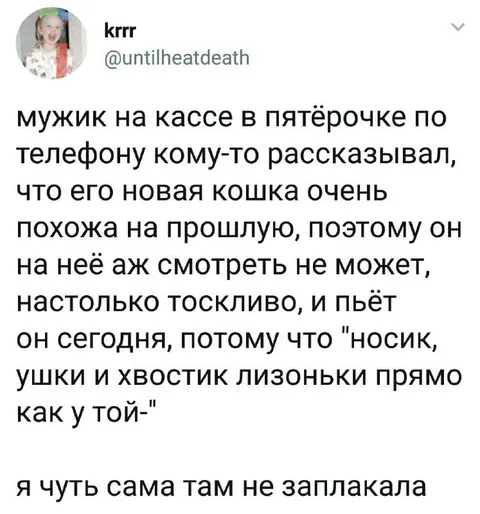 Кошка похожа на прошлую