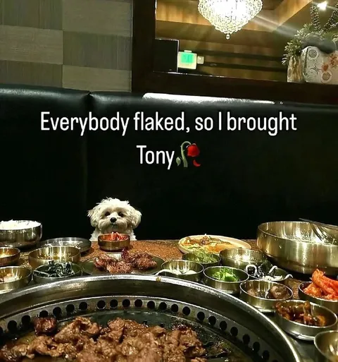 Everybody Flaked, So I Brought Tony