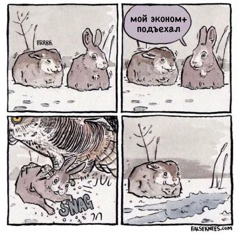 Мой эконом подъехал