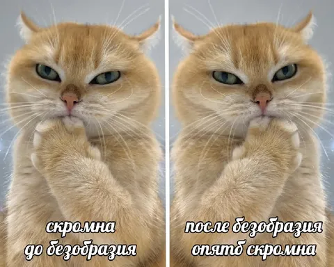 Скромная до и после безобразия