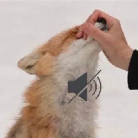 Беззвучный хомяк