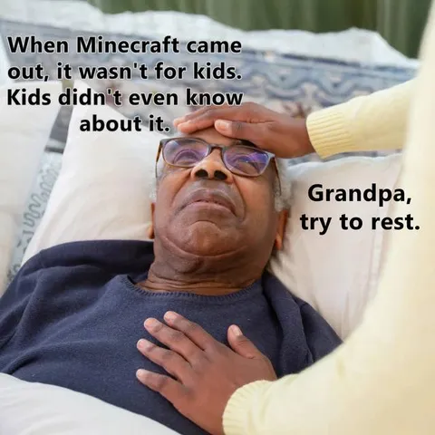 Minecraft Wasn't for Kids
