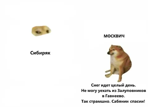 Сибиряк и московский снег