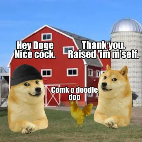 Doge Compliments the Rooster