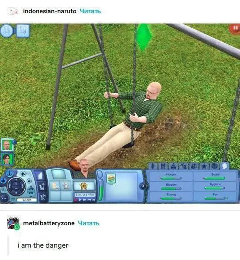 I Am the Danger Sims Swing