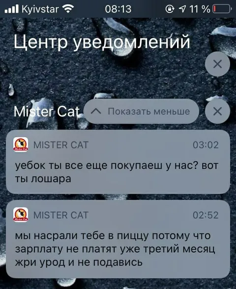 Злые уведомления от кота