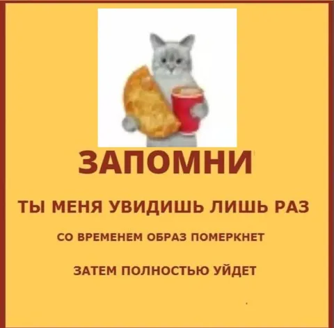 Ты меня увидишь лишь раз