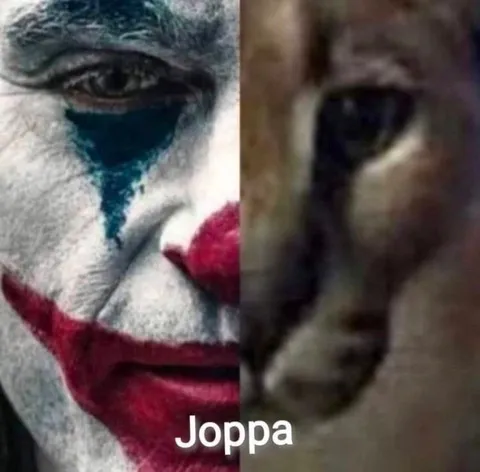 Клоун и кошачья попа