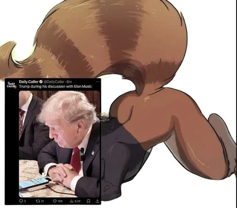 Trump Discussing With Elon Musk