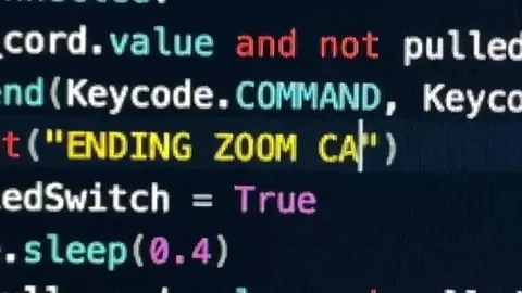 Ending Zoom Cat Pull Cord