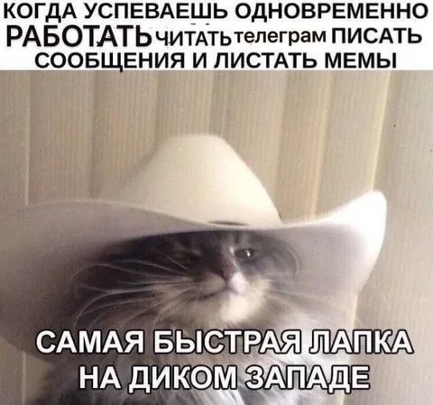 Самая быстрая лапка на Диком Западе