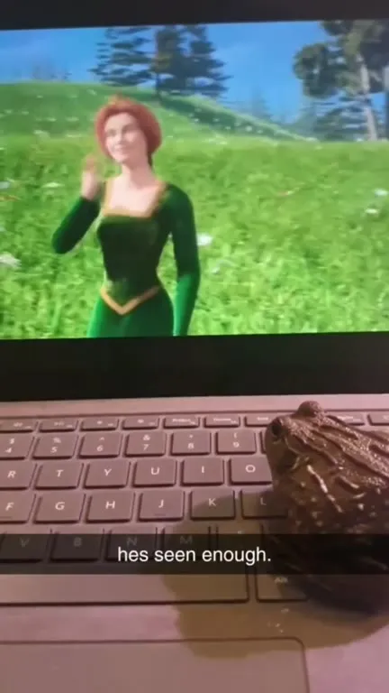 Frog Has Seen Enough