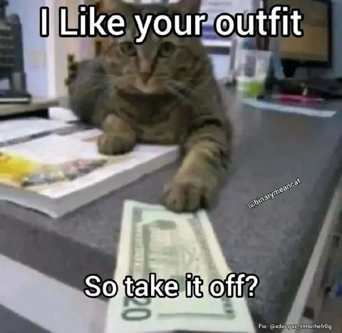 Cat Compliments Your Outfit