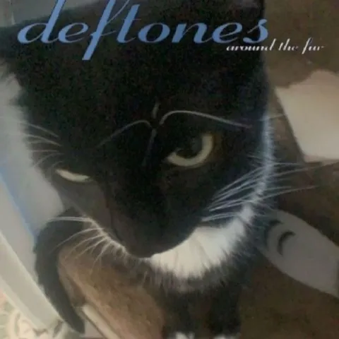 Deftones Around the Fur Cat