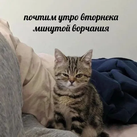 Вторник утром после ворчания