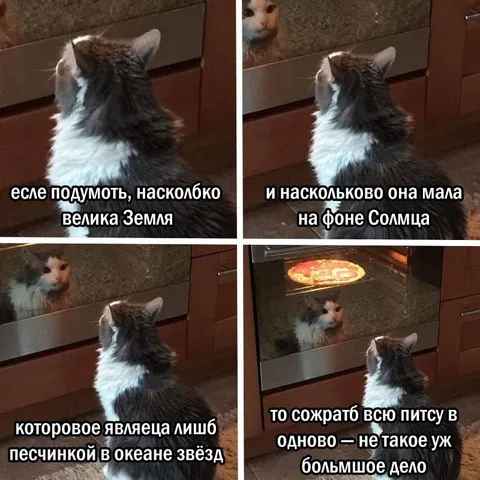 Кот размышляет о размере Земли
