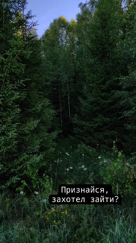 Признайся, захотел зайти?