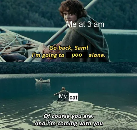 My Cat Follows Me Everywhere