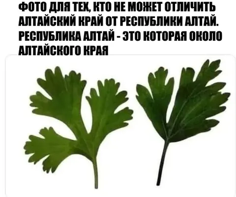 Алтайский край и Республика Алтай