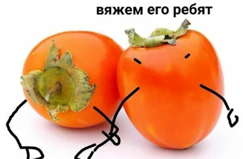 Вяжем его, ребят