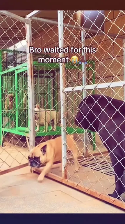 Bro Finally Gets the Moment