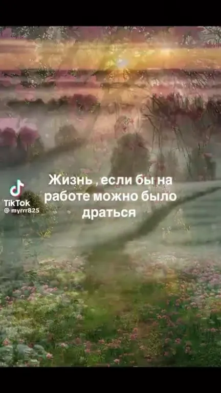 Жизнь, если на работе можно драться